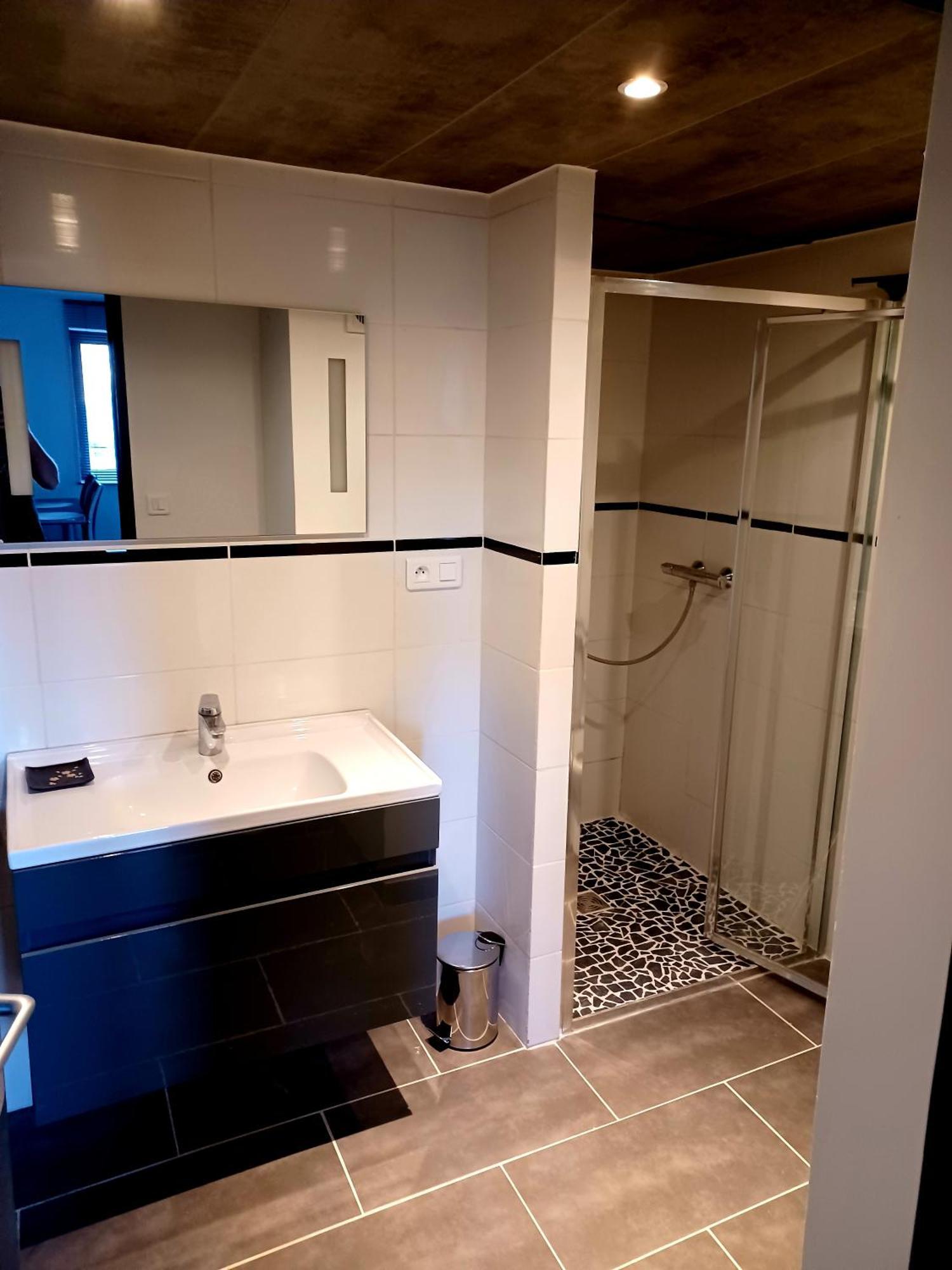 Les Charmes-balneotherapie-videoprojecteur-netflix Apartment Baume-les-Dames